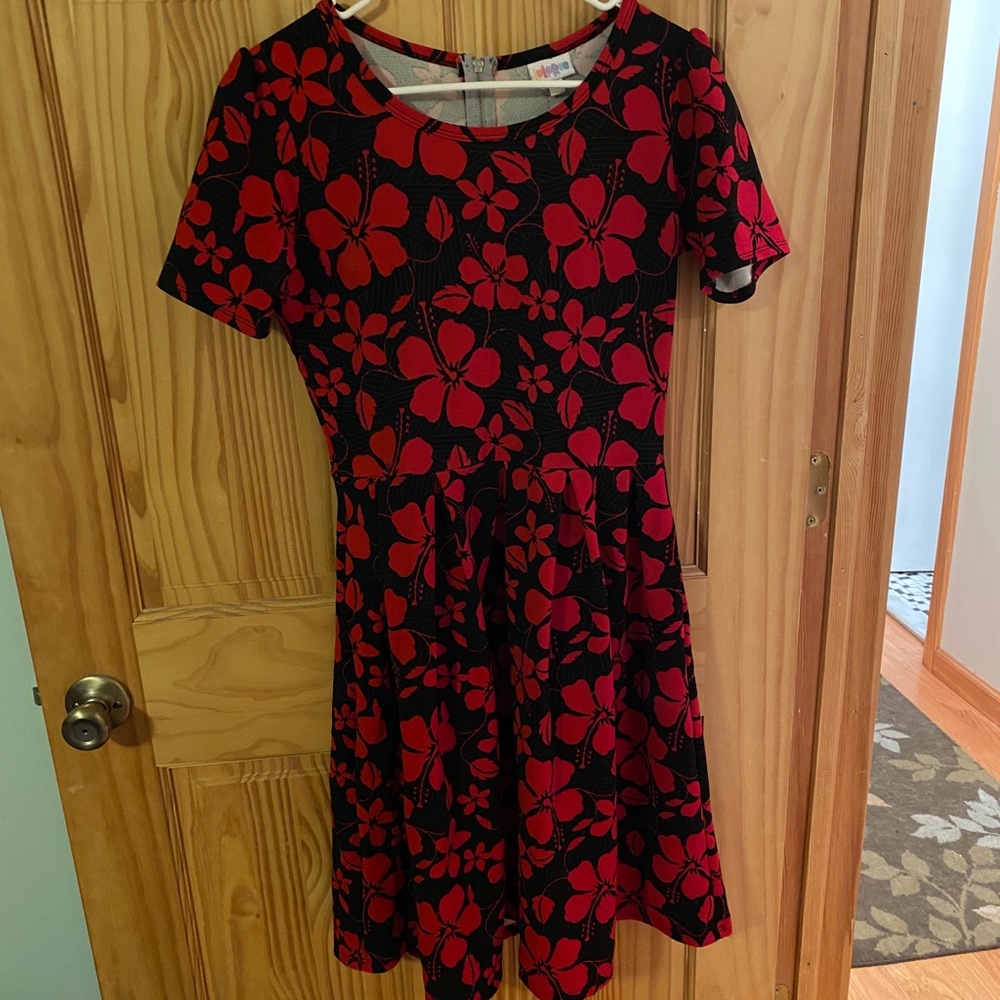 EUC Lularoe Amelia